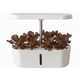 thumbnail image 1 of Sistema de cultivo hidropónico automático para interiores, pequeño para el hogar, 1 of 6