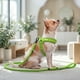 thumbnail image 3 of Correa De Paseo Petlounge Easy Glam Mascotas Perros 1.5m verde, 3 of 9