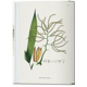 thumbnail image 4 of 40 - Martius. El libro de las Palmeras, 4 of 7