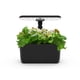 thumbnail image 1 of Jardín hidropónico interior AeroGarden Harvest Lite Black, 1 of 9