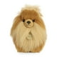 thumbnail image 2 of Aurora - Miyoni - Pomerania de 9", 2 of 2