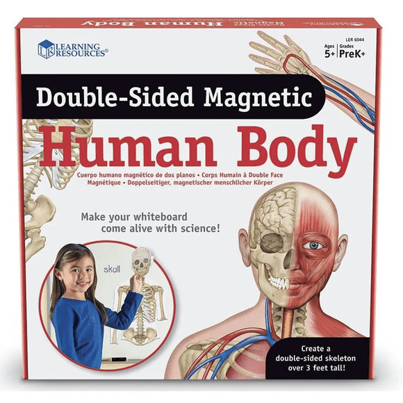 Cuerpo humano magnético doble faz