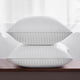 thumbnail image 2 of Oubonun 20 x 20 Throw Pillow Inserts Set of 2, 2 of 3