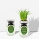 thumbnail image 4 of Kit de cultivo hidropónico de cebollín para interiores Environet, 4 of 9