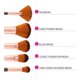 thumbnail image 2 of Set de brochas BAYCHEER Shimmering Bronze de 12 piezas sintéticas veganas, 2 of 5