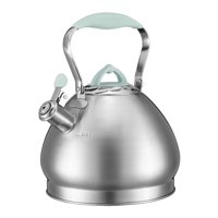 Bothyi - Tetera 4.3L Con Asa Tetera Con Silbato Acero Inoxidable Para Cocinas Verde