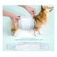 thumbnail image 2 of Pañales Desechables Para Mascota Perros Machos Talla S, M, L blanco M: Circunferencia máxima de cintura 55cm, 2 of 10