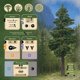 thumbnail image 4 of Juego de mesa AEG Undergrove Tile Placement 1-4 jugadores 10+, 4 of 9