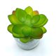 thumbnail image 3 of Planta Artificial Echeveria En Macetero De Cemento, 3 of 3