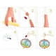 thumbnail image 2 of Juguete Movil Sonajero Infantil Con Luz Y Sonido Acuatico Azul, 2 of 3