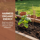 thumbnail image 4 of JETO Paquete de 10 Estacas de Planta de Cobre para Electrocultivo de 6 Pulgadas Alambre de Cobre Suave Estacas de Jardín Verduras, 4 of 11