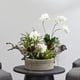 thumbnail image 4 of Jardín artificial de orquídeas y suculentas casi natural con jarrón, 4 of 6