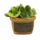thumbnail image 1 of 1/12 Casa De Mu?ecas Resina Mini Bonsai Suministros De Paisaje Para Decoración De Balcón Estilo D, 1 of 5