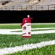 thumbnail image 3 of Botella infantil con logo de equipos NCAA Maryland 355 ml de acero inoxidable, 3 of 4