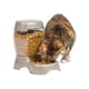 thumbnail image 1 of Comedero Petmate Pet Cafe para perros y gatos, color nacarado, 2,7 kg, 1 of 8