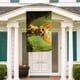 thumbnail image 5 of Chihuahua Bandera Impresa Con Temática Regalo Perfecto Para Fanáticos Amigos Y Familiares Y Adecuada Para Actividades Al Aire Libre E Interiores Decoraciones De Fiesta 90 Cm × 150 Cm, 5 of 6