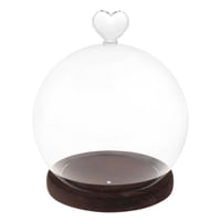 Bothyi - Cúpula De Exhibición Con Base, Cubierta De Vidrio Transparente Decorativa Para Regalos Del Día De San Valentín Diy