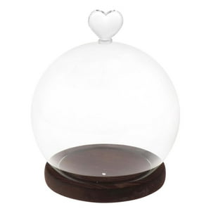Genérico - Cúpula De Exhibición Con Base, Cubierta De Vidrio Transparente Decorativa Para Regalos Del Día De San Valentín Diy
