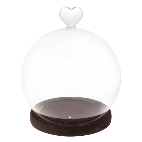 Cúpula De Exhibición Con Base, Cubierta De Vidrio Transparente Decorativa Para Regalos Del Día De San Valentín DIY