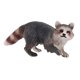 thumbnail image 4 of Realista Jungle Animal Raccoon Figuras Modelo Ni?os Ni?os Peque?os Juguetes Favores De Fiesta Caminar, 4 of 5