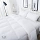 thumbnail image 1 of Plumón King All Season 260 x 250 cm Dormitorio Blair Home, 1 of 5
