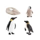 thumbnail image 4 of Penguin Life Cycle Model Animals Juego Cognitivo Para Materiales De Ense?anza Estilo B, 4 of 5