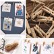 thumbnail image 5 of Mini pinzas de madera para ropa Wddeevoi 260 piezas con cuerda de yute, 5 of 7