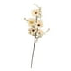 thumbnail image 3 of Regalo De Arreglo Floral De Flor De Margarita Artificial Para Jardín, Oficina, Hogar, Champán, 3 of 3