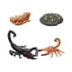 thumbnail image 5 of Conjunto De Ciclo De Vida De Animales Montessori Para Favores De Fiesta Proyectos Temáticos Secuenciación Estilo B, 5 of 5
