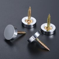 Genérica - Set 4 Tornillos Con Tapa Instalación Espejos Decorativos Multicolor