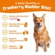 thumbnail image 2 of Suplemento Zesty Paws Cranberry Bidder Bites para perros, 90 g, 2 of 8