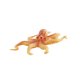 thumbnail image 4 of Figuras De Animales Marinos Estatuilla Animal Playset Modelo Ciencia Juguetes Educativos Estilo H, 4 of 5