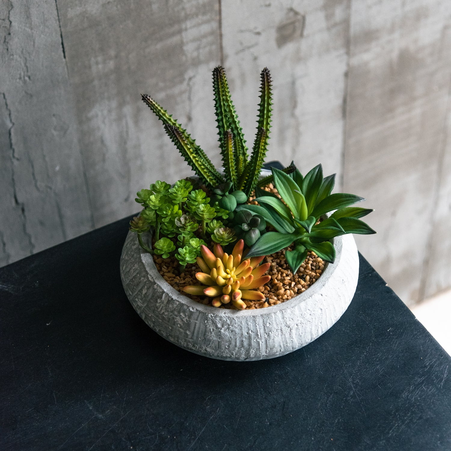 Vadell Home - Suculentas De 17 Cm Con Macetero