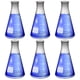 thumbnail image 2 of Vaso de borosilicato Erlenmeyer Flask Karter Scientific de 1000 ml, 2 of 5