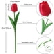 thumbnail image 3 of Xiao Hua 20 Piezas de Tulipanes Simulados, Tacto Realista, 13 Pulgadas, Tulipanes Simulados Sueltos, Adecuados para Decoración de Mesa, Ramos de Boda en Casa, etc., Rojo, 3 of 4