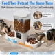 thumbnail image 3 of Comedero Automático Frienhund ACF190W 7L Doble 2 Gatos Wifi, 3 of 3
