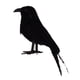 thumbnail image 5 of Cuervo Negro Pájaro Artificial Prop Adorno De Jardín Decoración De Fiesta De Halloween, 5 of 5
