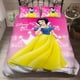 thumbnail image 1 of Princesses quilt duvet cover pillowcase bedding set for girls3-Piece Bedding Set (1 Duvet Cover + 2 Pillow Shams), 1 of 5