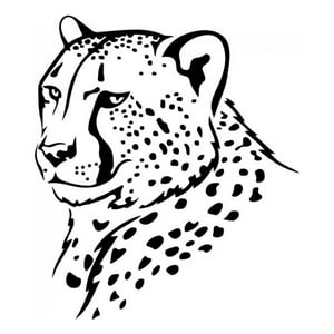 Rienda Libre Graphics - Decomural Cheetah Head Jungle Animals Ws-32906
