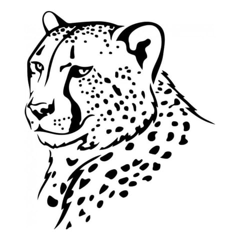 Rienda Libre Graphics - Decomural Cheetah Head Jungle Animals Ws-32906