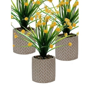 Vgo - Plantita Artificial Deco Altura .26 Cm..