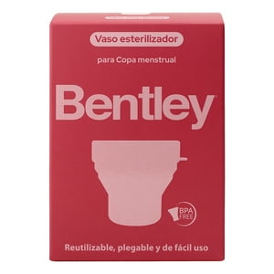 Bentley - Vaso Esterilizador 1Un