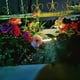 thumbnail image 2 of Illuminate Your Garden with 4pcs Waterproof Solar Garden Lights - 8 LEDs, Perfect for Path, Deck, Yard, Driveway and Lawn Decoration, 2 of 5
