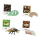 thumbnail image 5 of Figuritas de , juguete, biología, ciencia, etapa de crecimiento educativo, modelo, figuritas de animales, juguetes para decoración de Abeja, 5 of 5