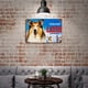 thumbnail image 5 of Cartel Metálico Decorativo Desmarcar Lassie 30x40cm, 5 of 6