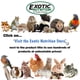 thumbnail image 5 of VIVARIUM Exotic Nutrition 32x17x22 cm Juego de 2, 5 of 5