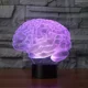 thumbnail image 3 of 0x Decoraciones De Halloween 3d Cerebelo Humano Mod 3622, 3 of 5