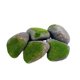 thumbnail image 1 of 5 Piezas De Rocas Falsas Para Dioramas, Rocas Artificiales Para Arreglos Florales De Patio, Jardín De Hadas F, 1 of 5
