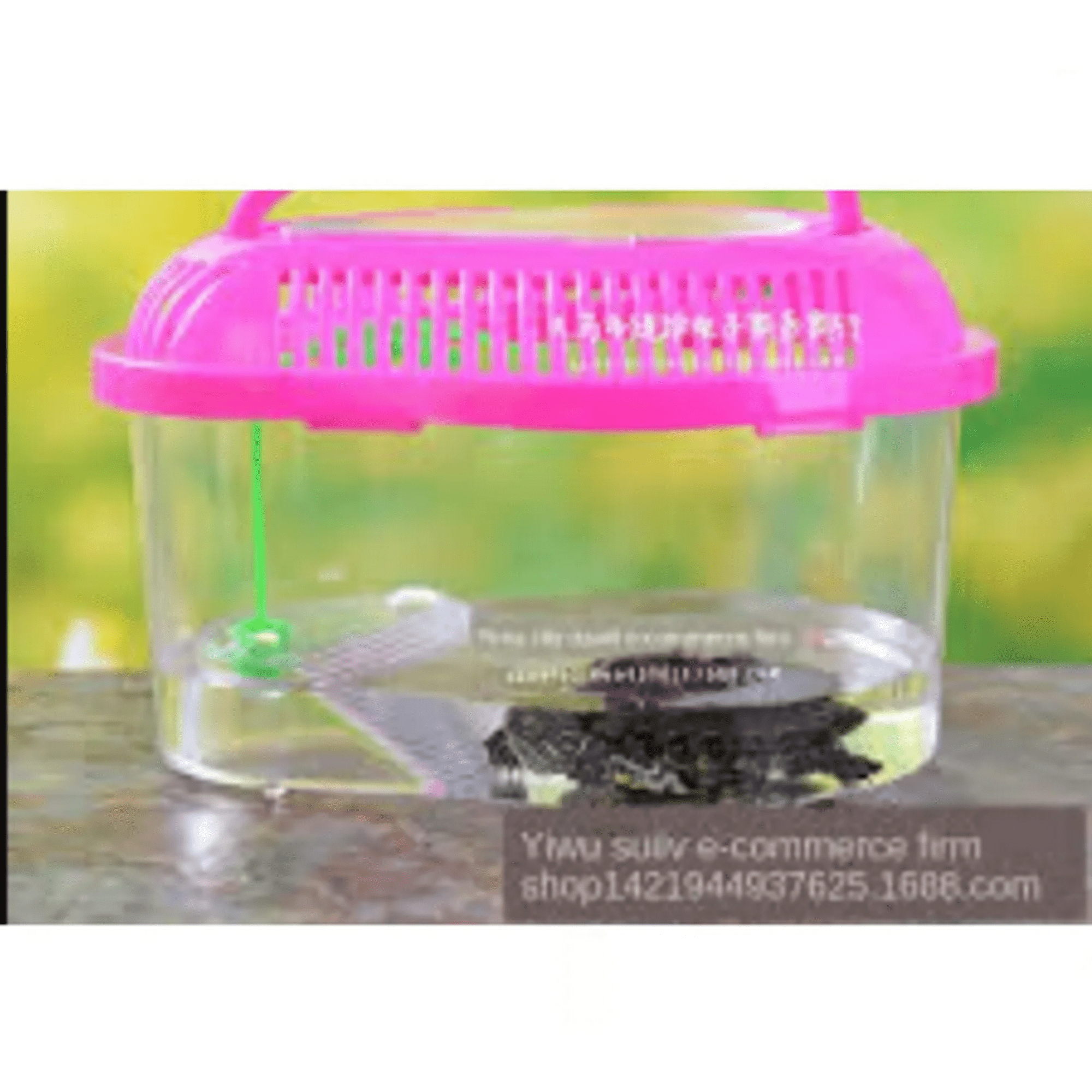 Genérico - Mini Caja De Pecera Tanque De Plastico