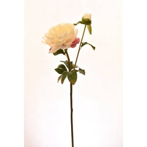 Vadell - Peonia Blanca 57 Cm